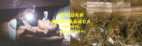стафф Заводоуковск