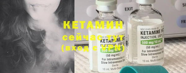 стафф Заводоуковск