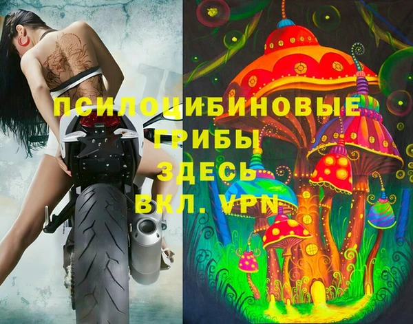 стафф Заводоуковск