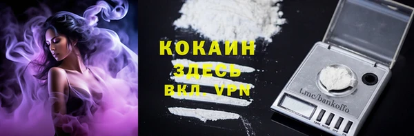 стафф Заводоуковск