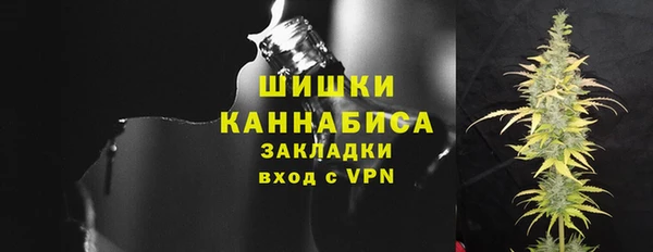 стафф Заводоуковск