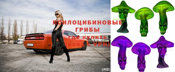 стафф Заводоуковск