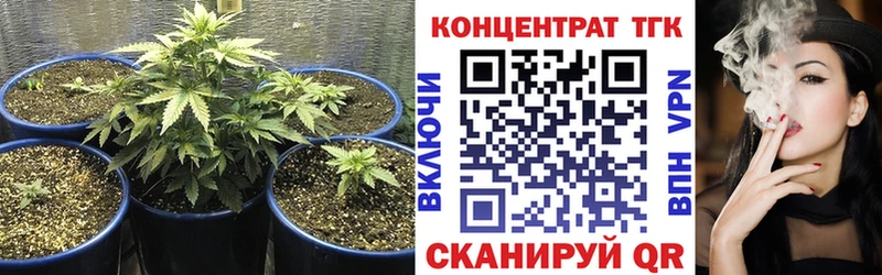 ТГК Wax Курильск