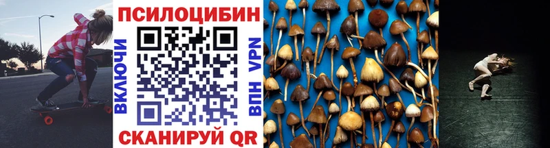 Купить закладки  Курильск  Псилоцибиновые грибы прущие грибы 